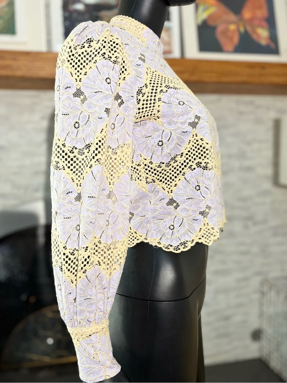 Dolan Left Coast Mock-Neck Lace Blouse (Anthropologie) - Size XXS
